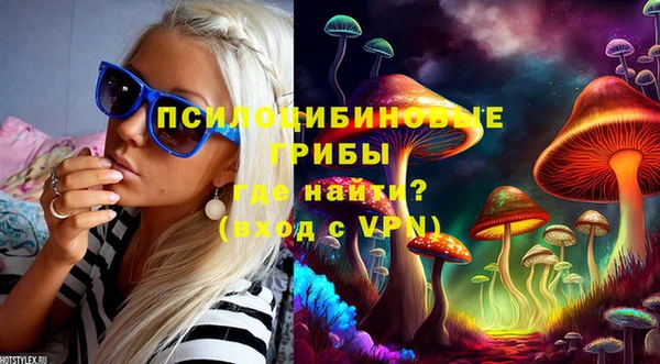 сатива Кинешма