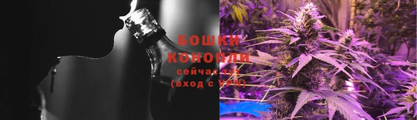 сатива Кинешма