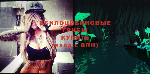 сатива Кинешма