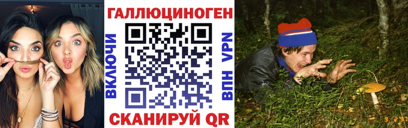 Псилоцибиновые грибы Psilocybe  Купить  Гурьевск 